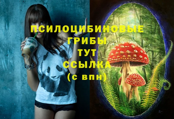 Альфа ПВП Снежногорск