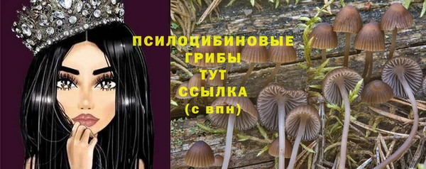 кокаин VHQ Гусев